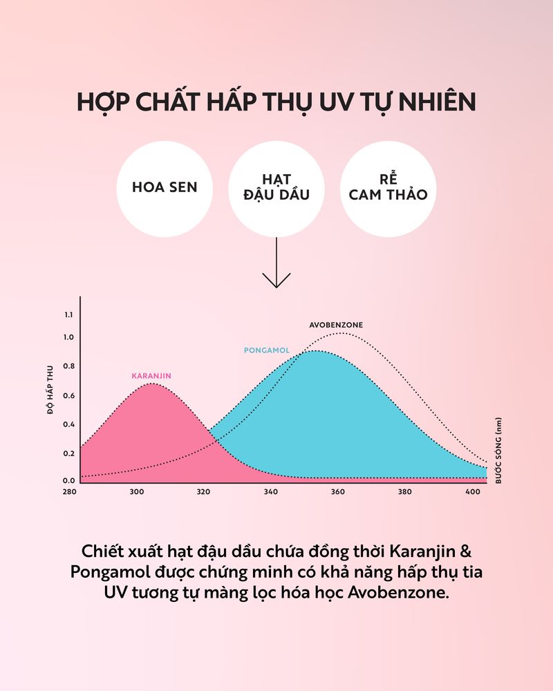Ưu đãi Rùa Biển - Pink - Ảnh 5